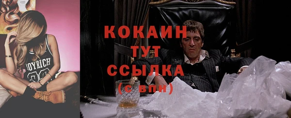 стафф Зерноград