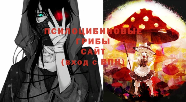 альфа пвп Заводоуковск