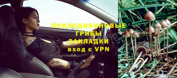 альфа пвп Заводоуковск
