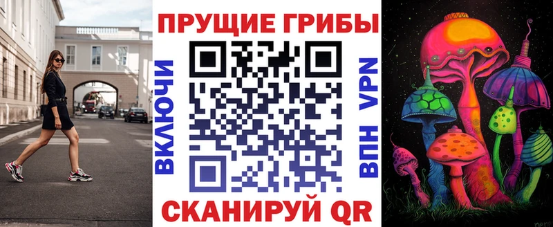 Купить  Заинск  Псилоцибиновые грибы Psilocybine cubensis 